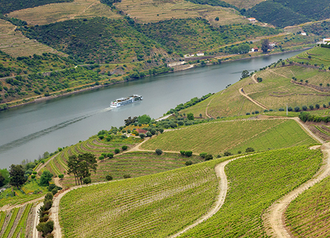 Osfrid_Douro_River_Vineyards_Ship_478x345_tcm21-50590.jpg