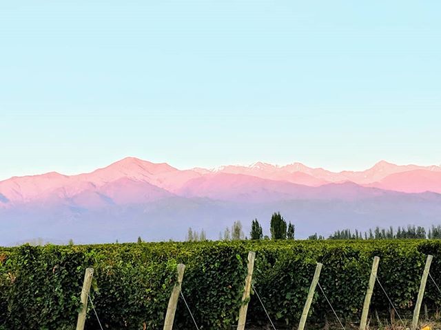 Gorgeous stay and delicious sips! #mendoza #zenluxurytravel #wine #malbec #mountains #travel #luxury #vacation #salentein