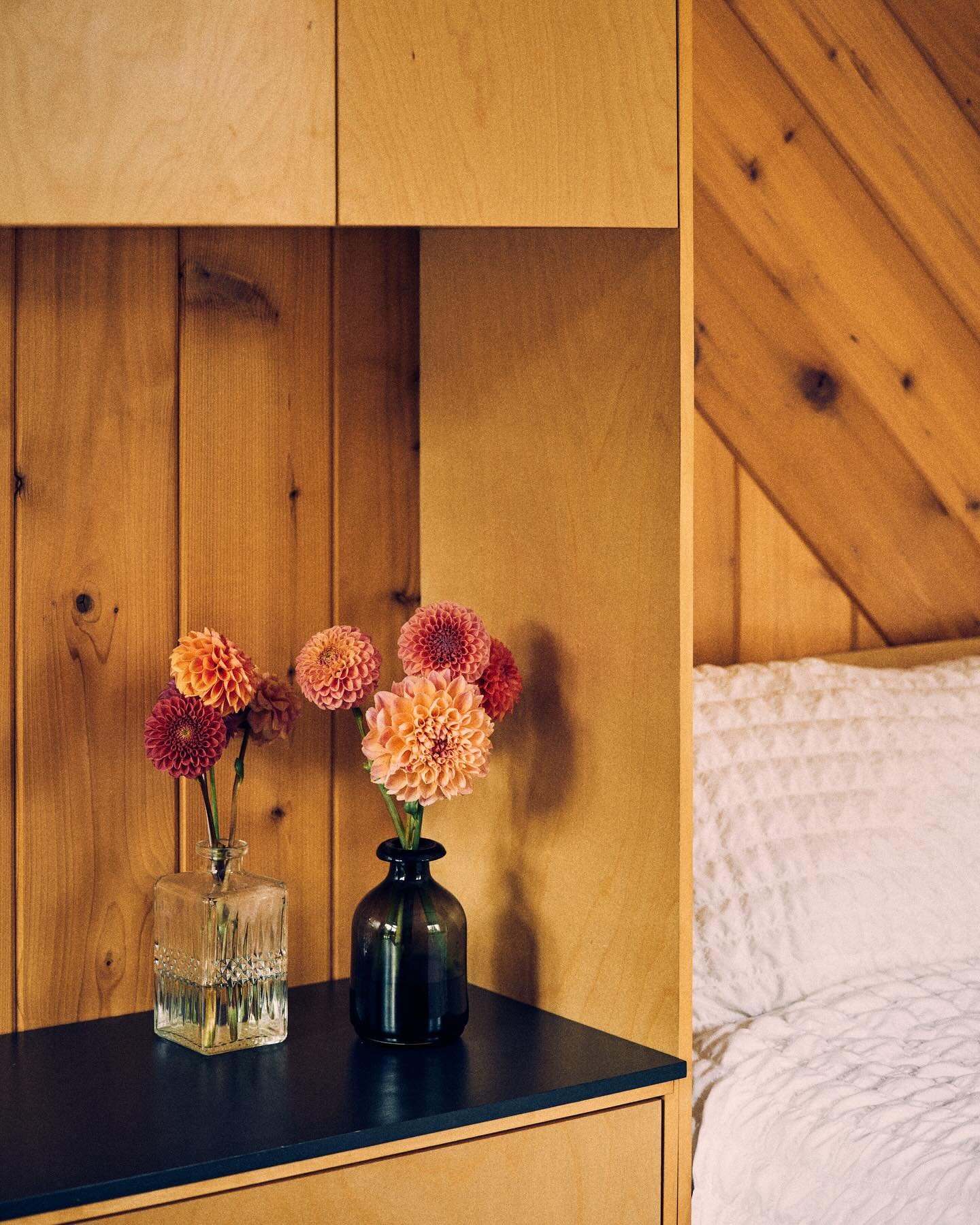 June dates in the studio suite and the camping casita are now open! Snap up your island getaway today! 

Photos by @rainaandwilson 

#saltspringliving #saltspringisland #islandlife  #gulfislands #campvibes  #experientialtravel #experiencebc #travelbc