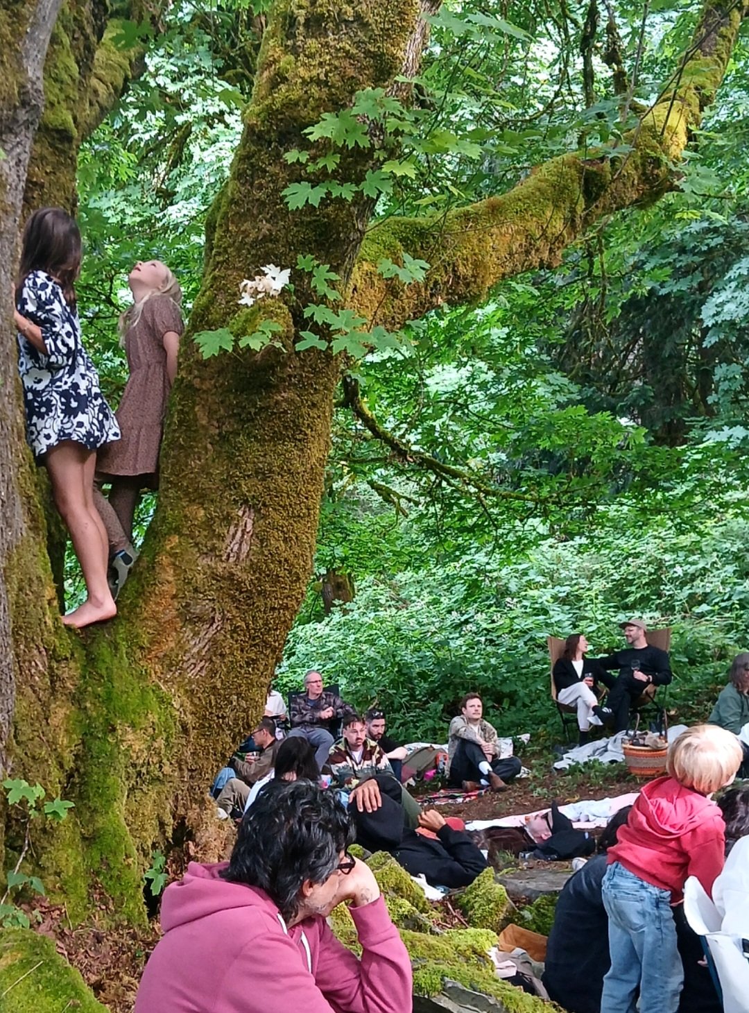 Screenshot_20250622_181212_Gallery 2.JPEG