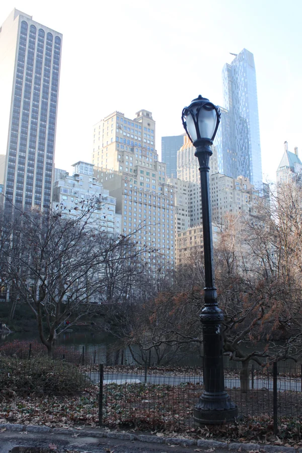 NYC3.jpg