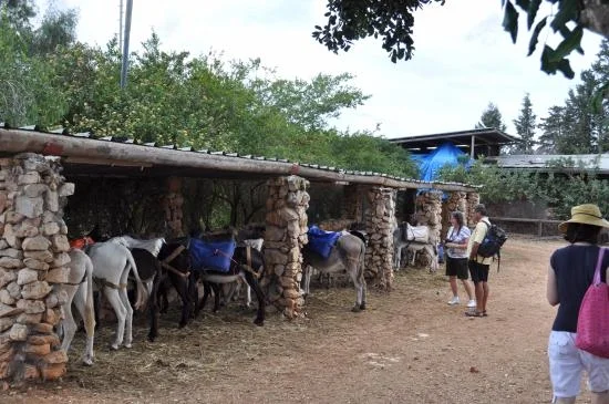 Day 14 - Exploring the Golan (Netzach)