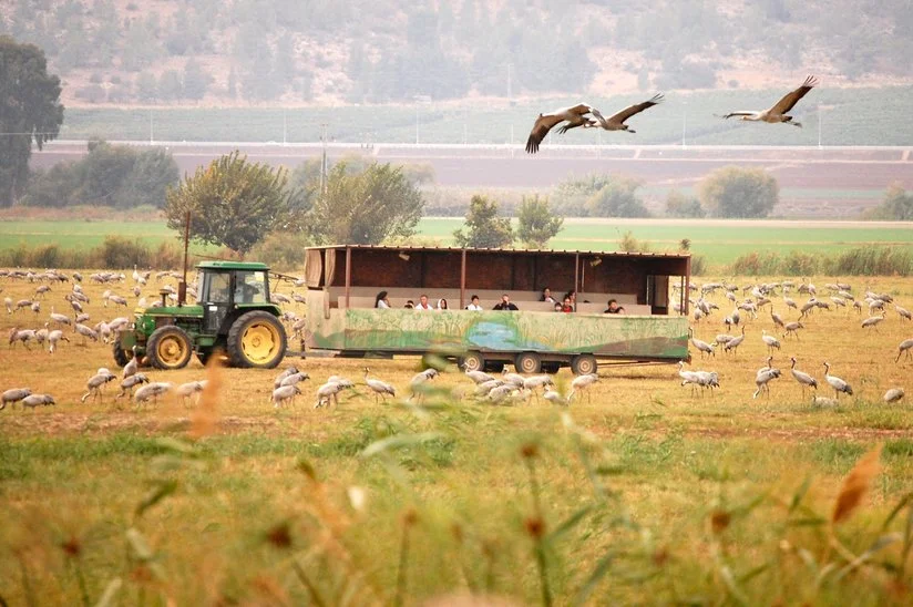 Day 16 - Misgav Am, hike and biking in the Chula Valley (Netzach)