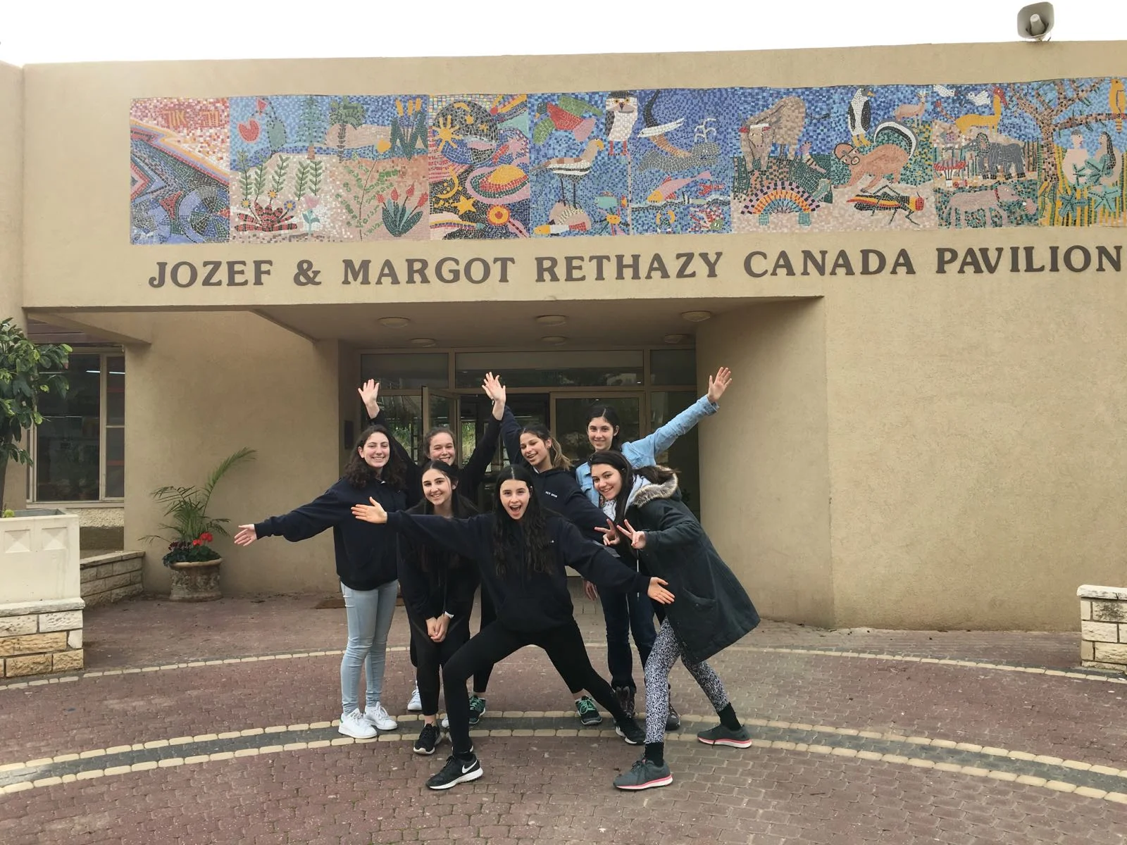 Option Week 2 - Volunteering