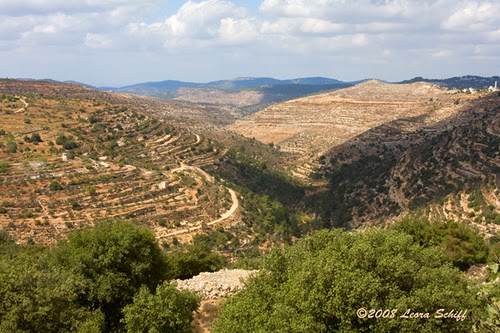Day 40 - Shabbat and Eretz Bereishit (Lehava)