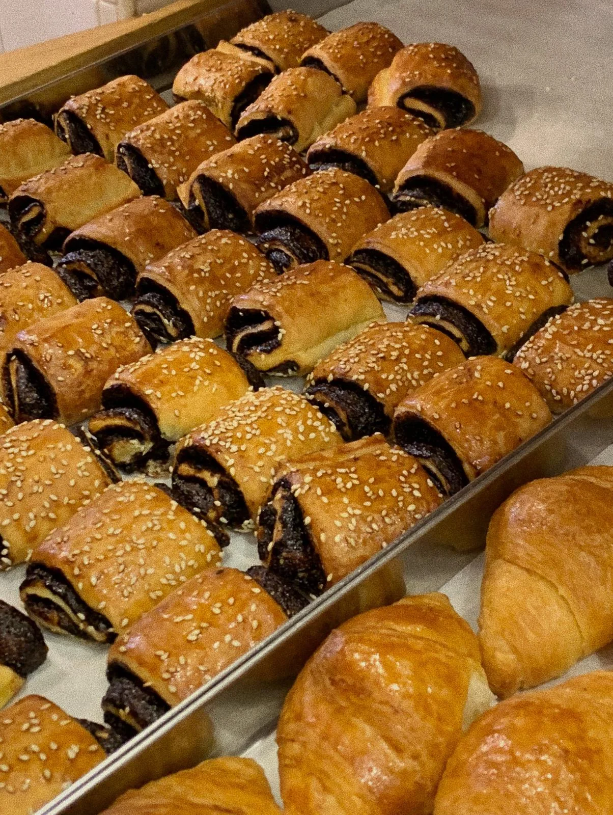 WhatsApp Image 2018-11-11 at 5.28.02 PM.jpeg