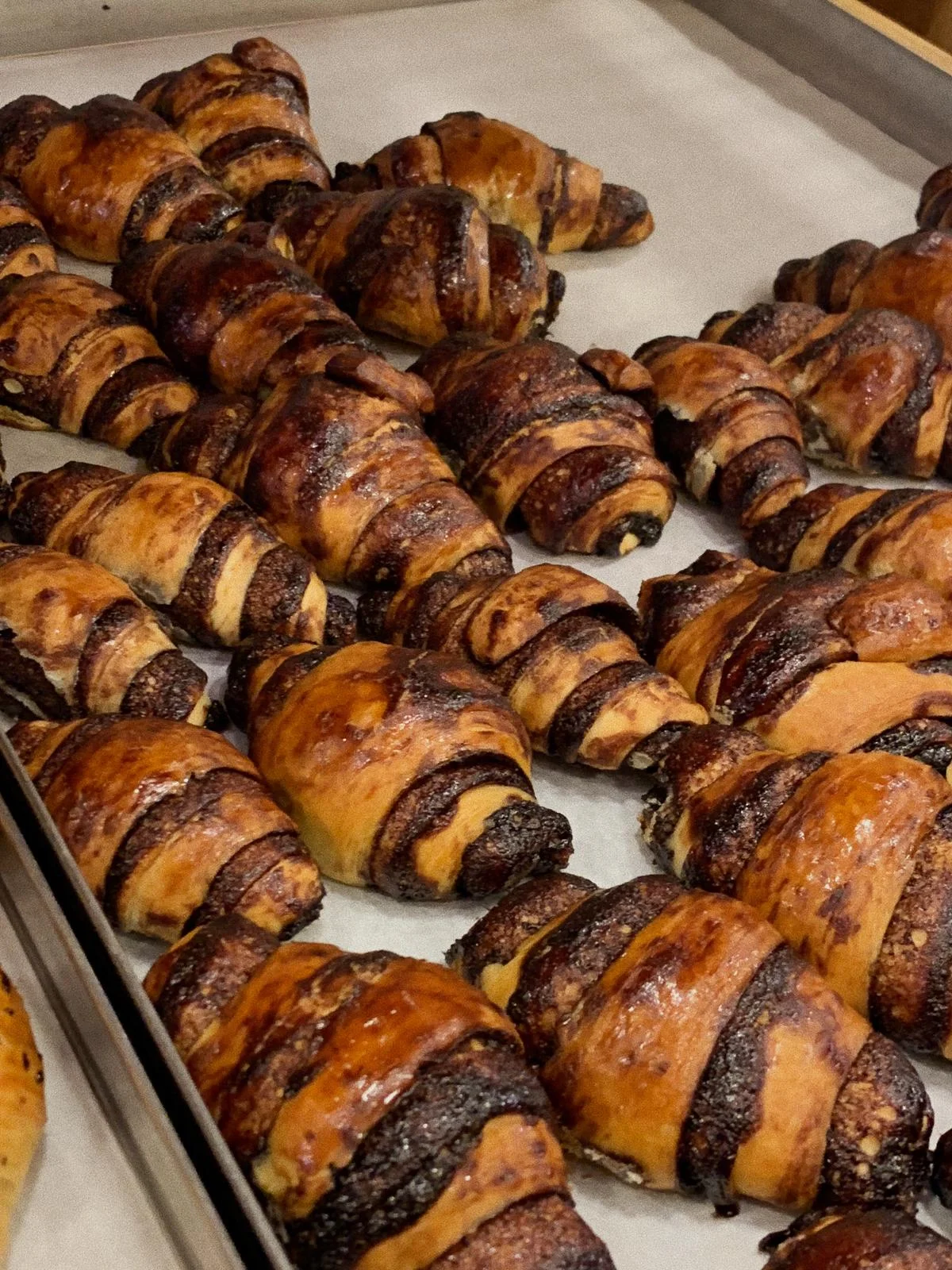 WhatsApp Image 2018-11-11 at 5.28.02 PM(1).jpeg