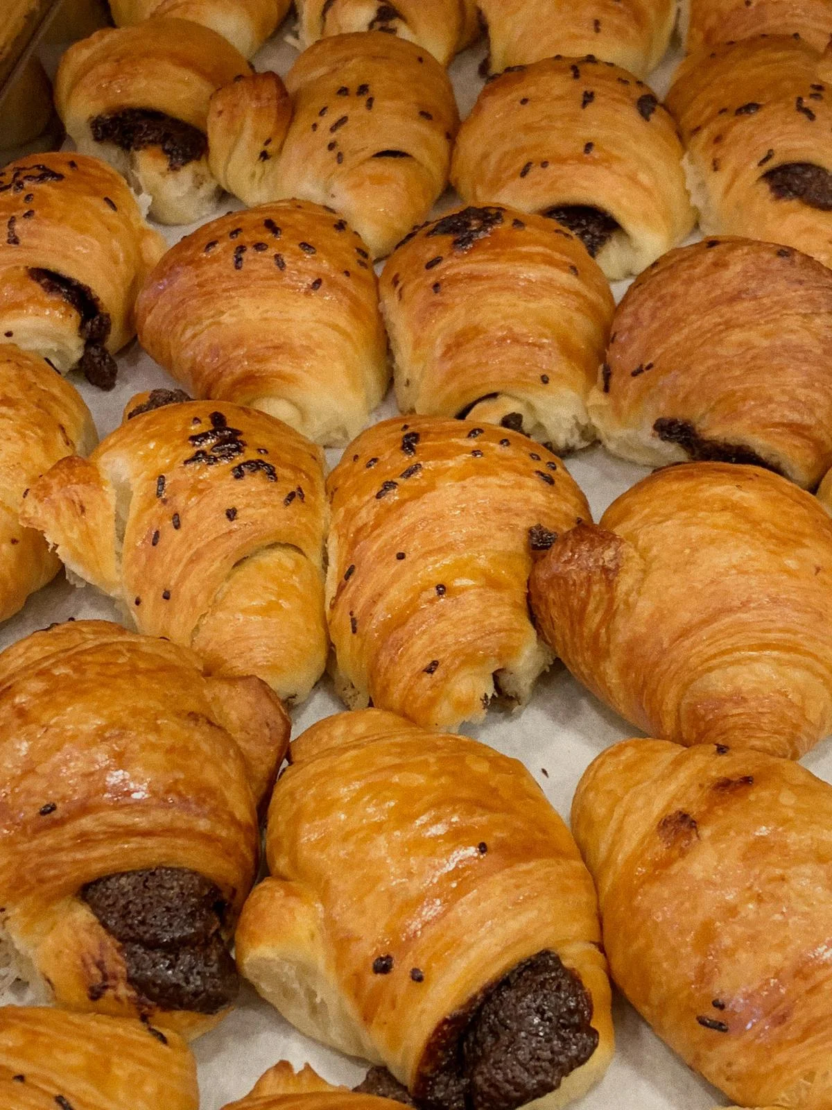 WhatsApp Image 2018-11-11 at 5.28.02 PM(2).jpeg