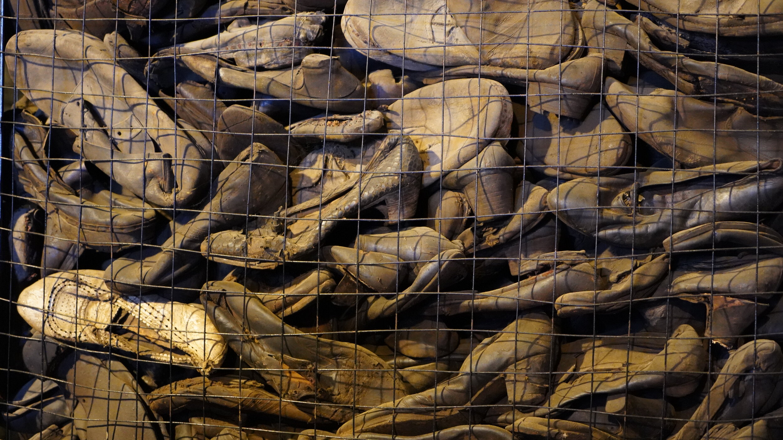 Day 3 - Poland - Allie 