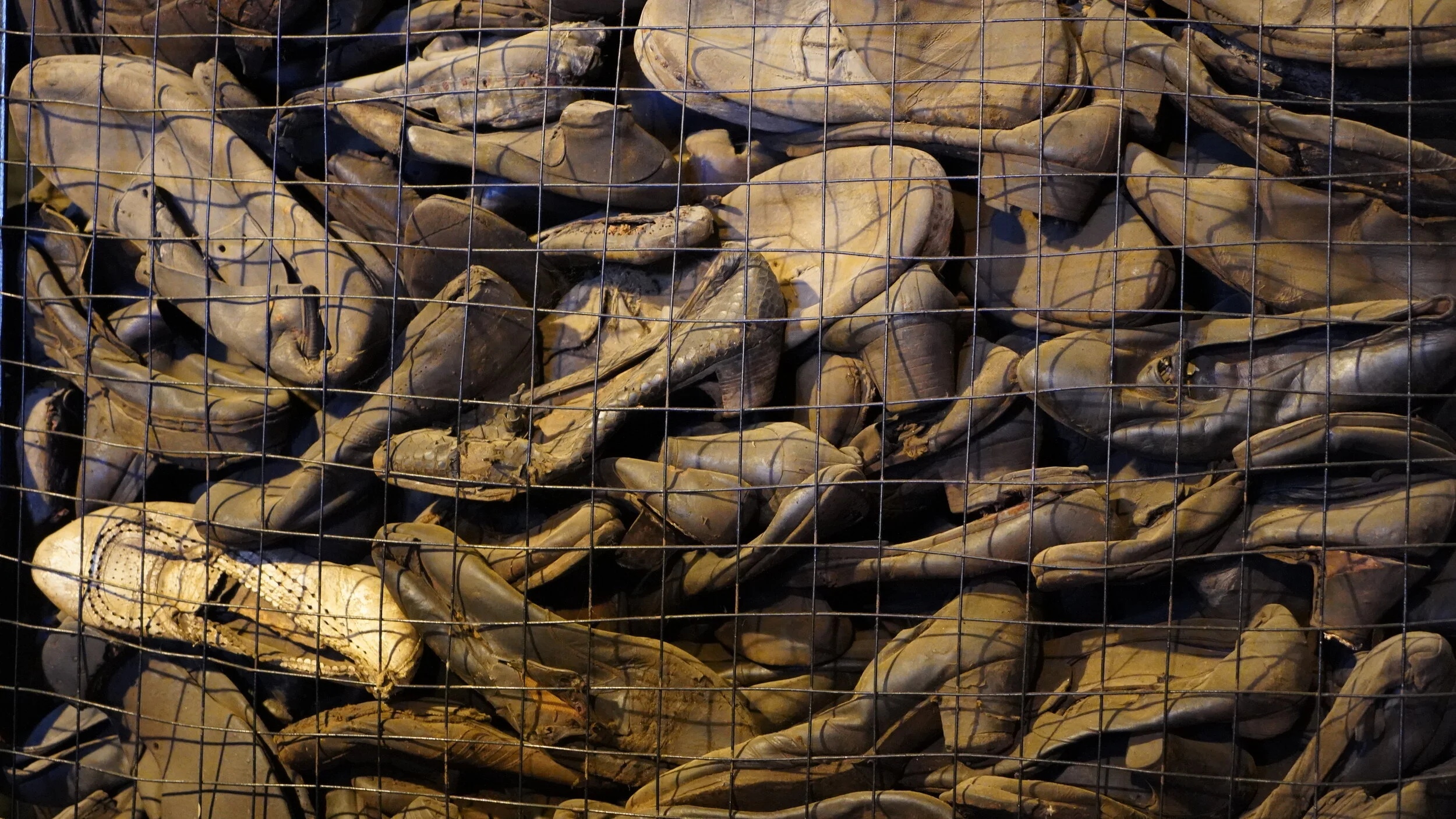 Day 3 - Poland - Allie Goldman