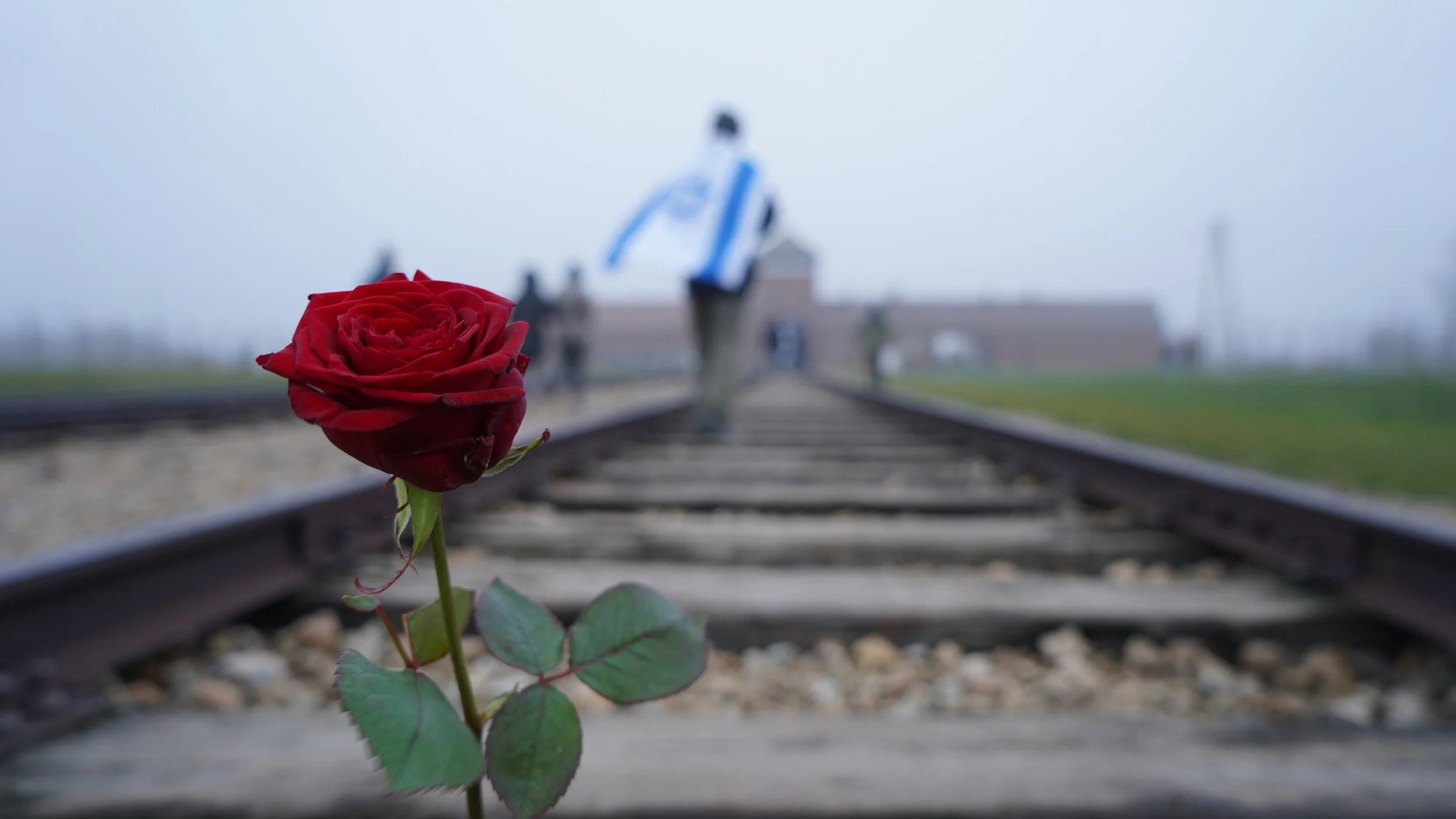 Day 7 - Poland - Ellie Shifroni &amp; Ruby Smuskowitz