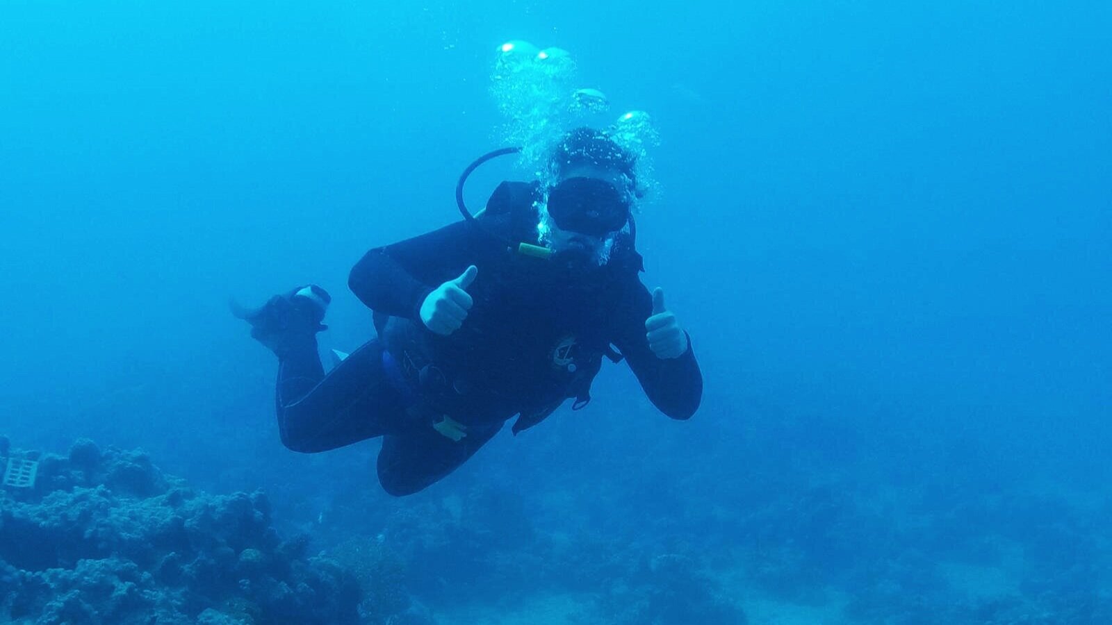 Options 2 - Scuba Diving - Coby