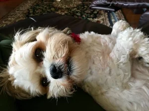 Sweet Nora