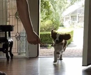 Easy Ways to Train All Day Without Setting Aside Extra Time