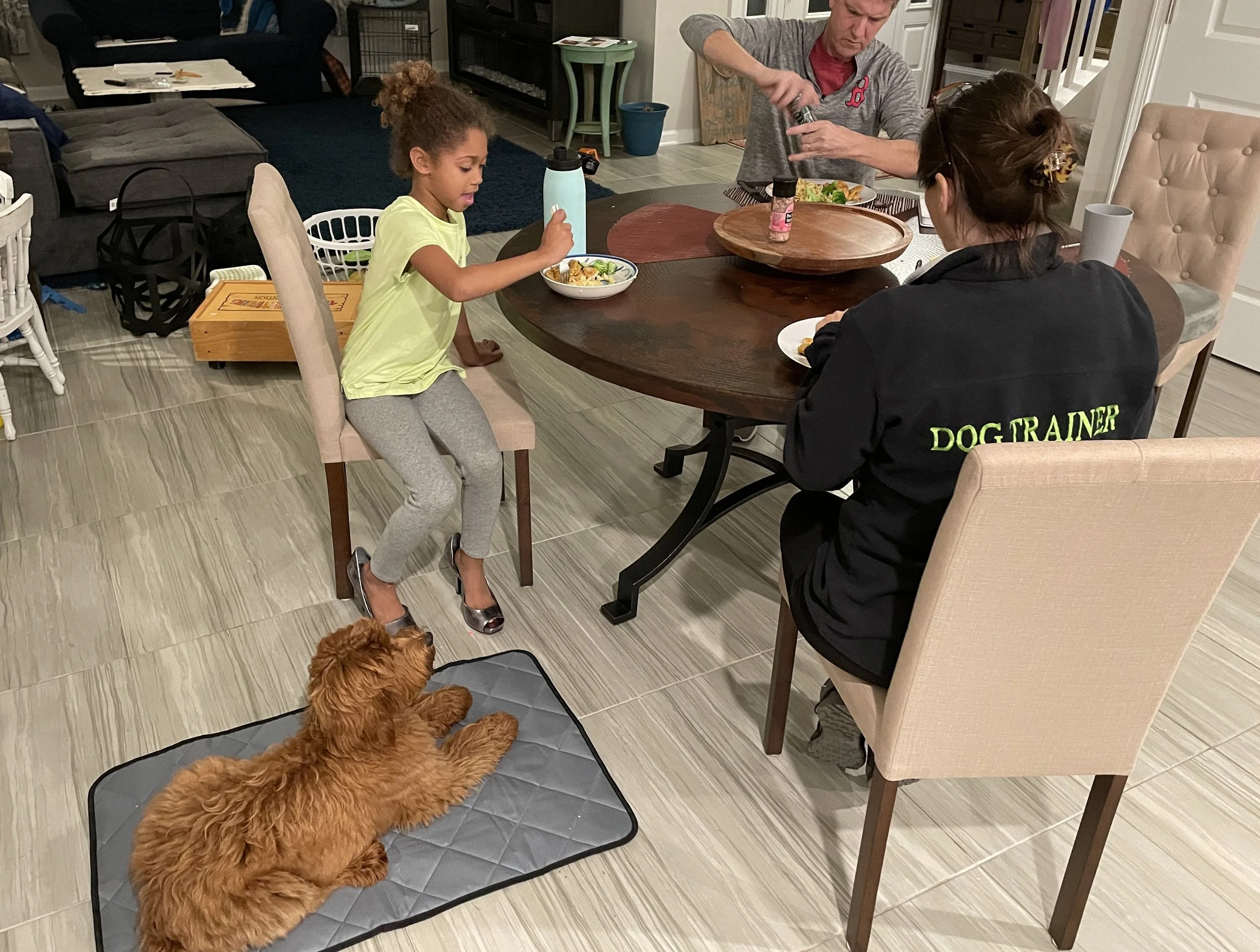 Choosing the Right Dog: Start With Your Life, Not the Dog