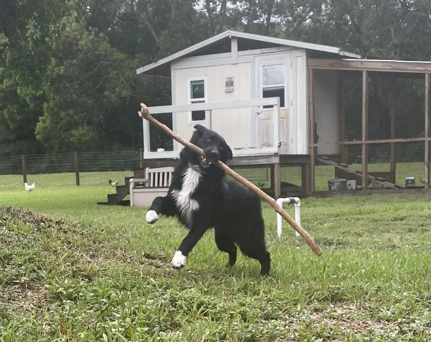 The Four Stages of Training