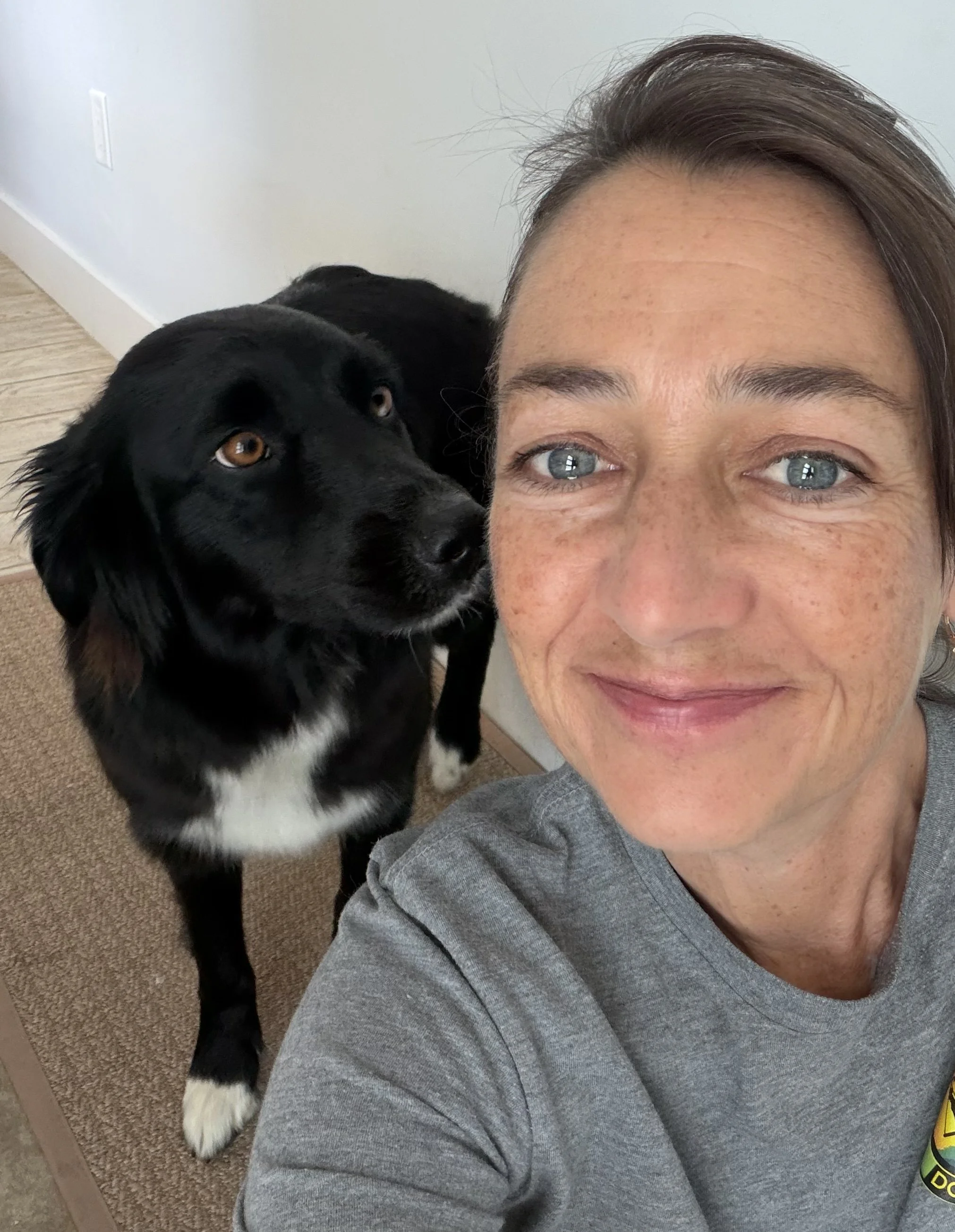 In-home dog training with a black dog in Palm Beach County
