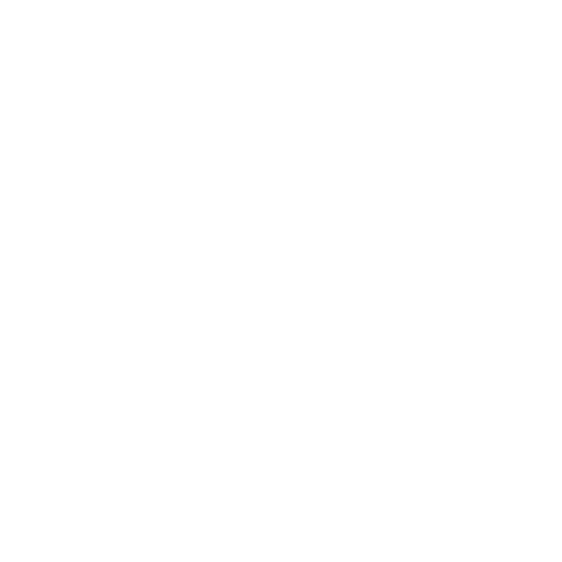 CSS 3