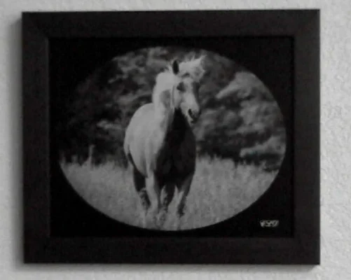 Horse Laser Engraved on Anodized Aluminum