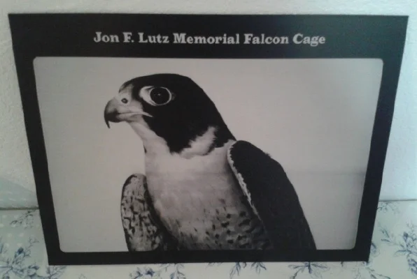 Falcon Engraved on Anodized Aluminum Memorial