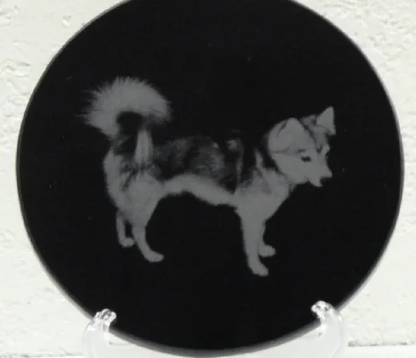 Dog Photo Laser Engraved On Black Marble