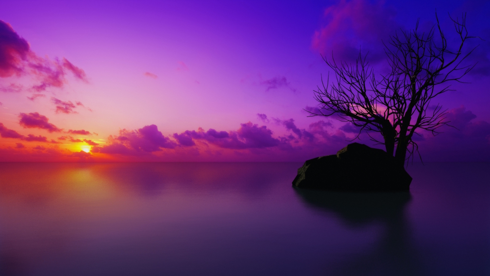 maldivian-sunset-2560x1440-wallpaper-5351.jpg