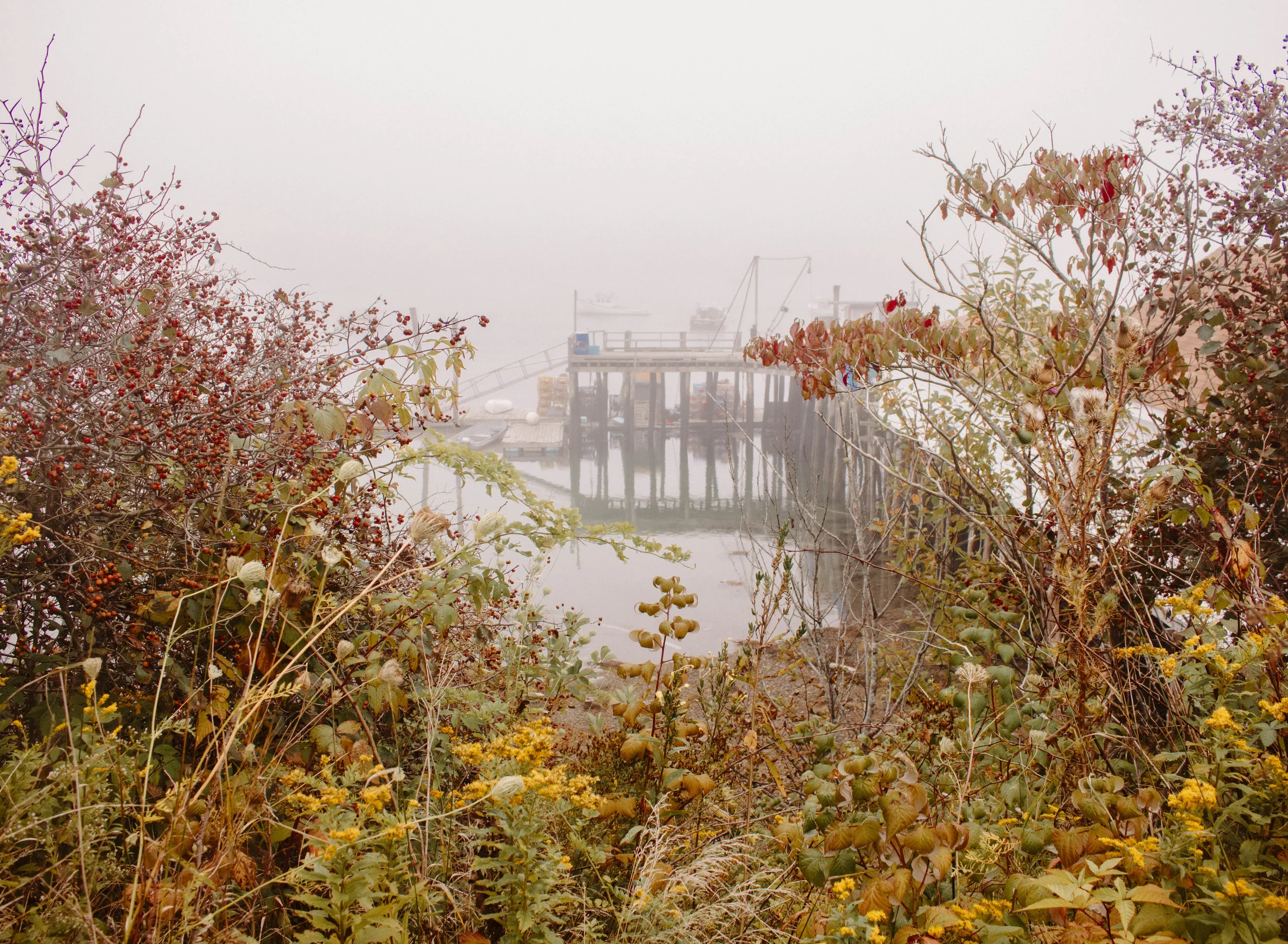 pemaquid17 (1 of 1).jpg