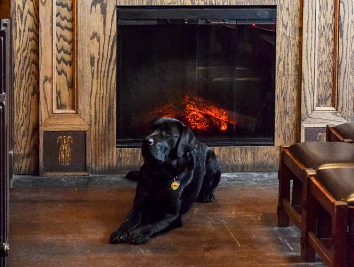 ACBP - Greenwich Village Fireplace