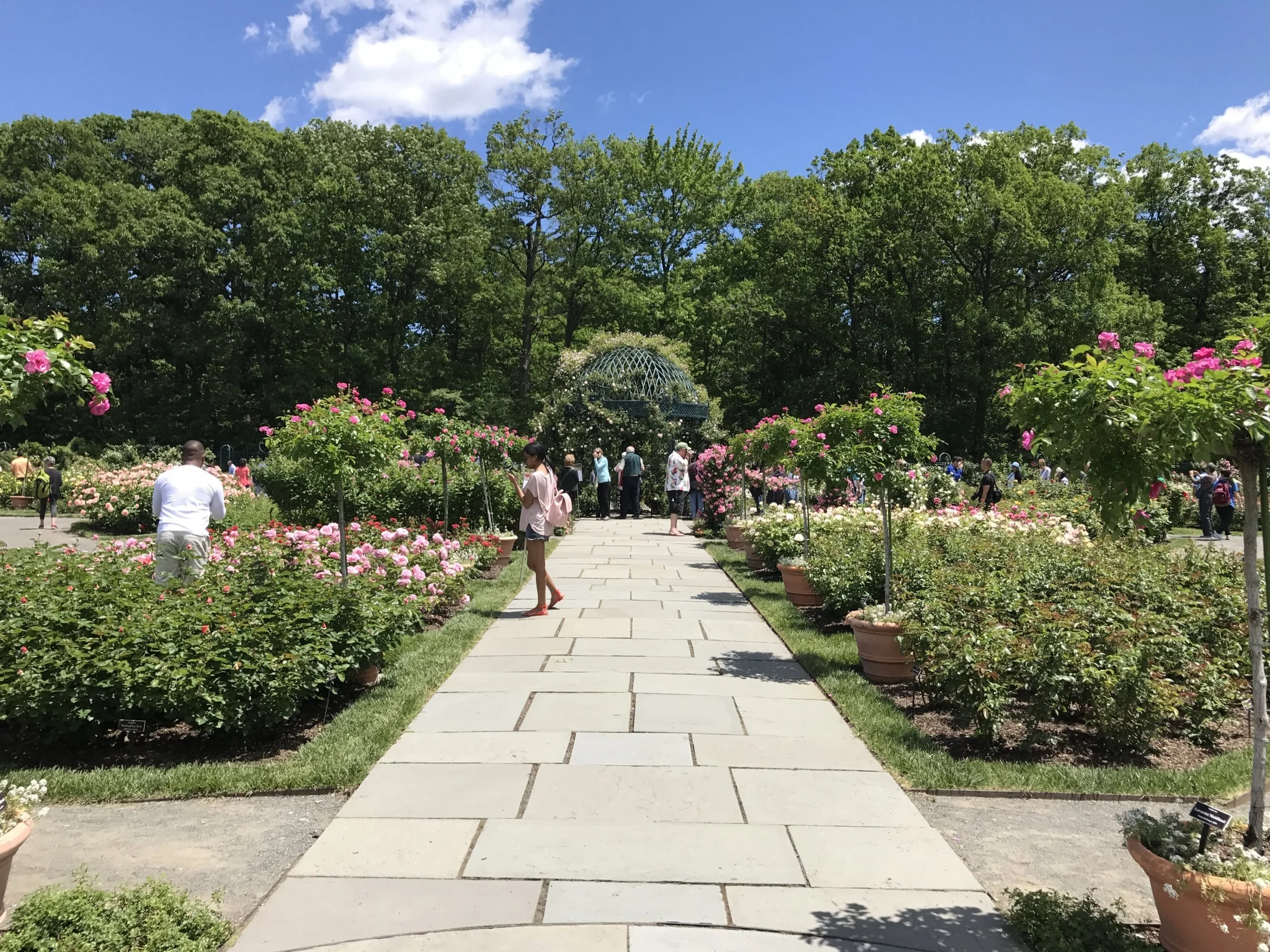 Sundays are for Exploring Part 1: NY Botanical Gardens