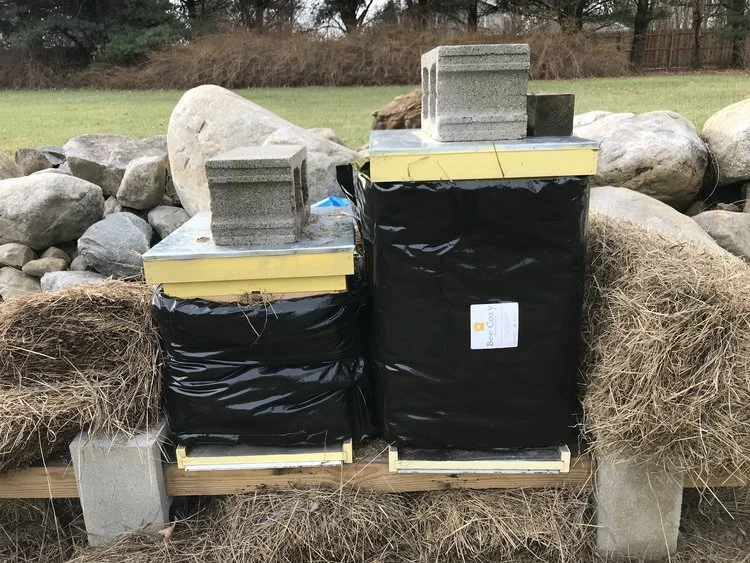 Top 5 Steps For Over Wintering