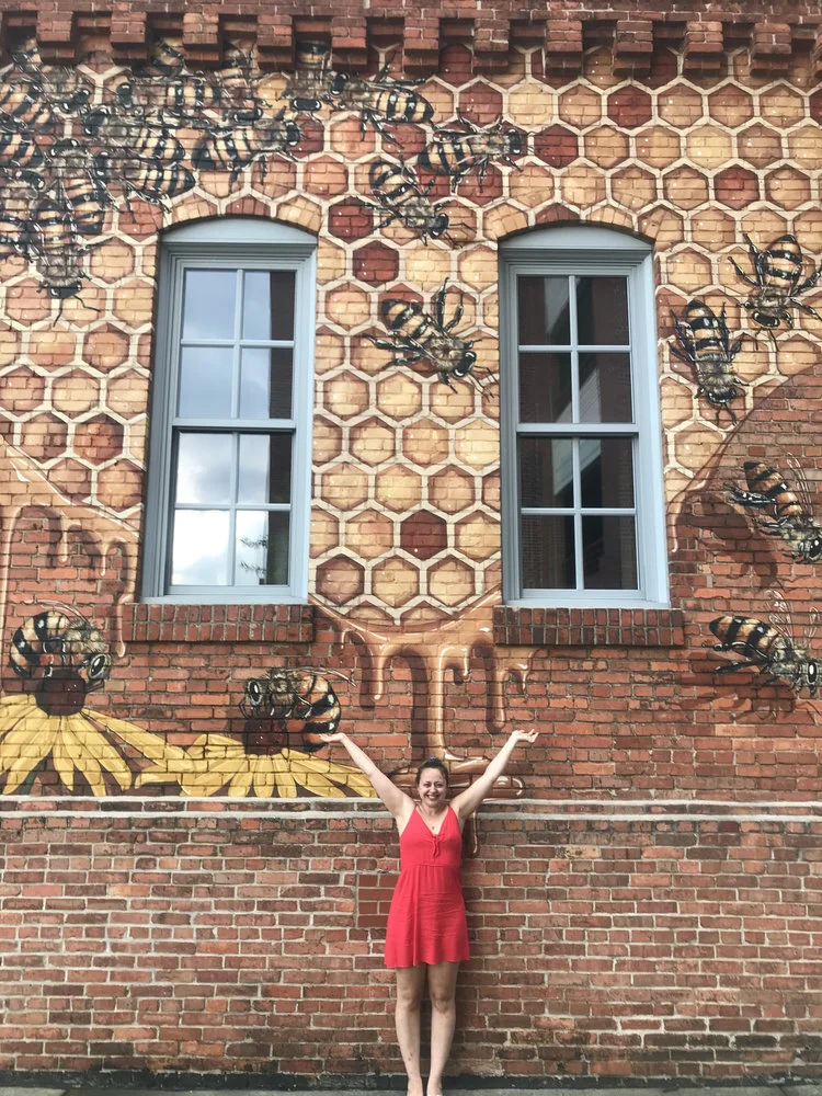 Adventures of a Beekeeper: North Carolina