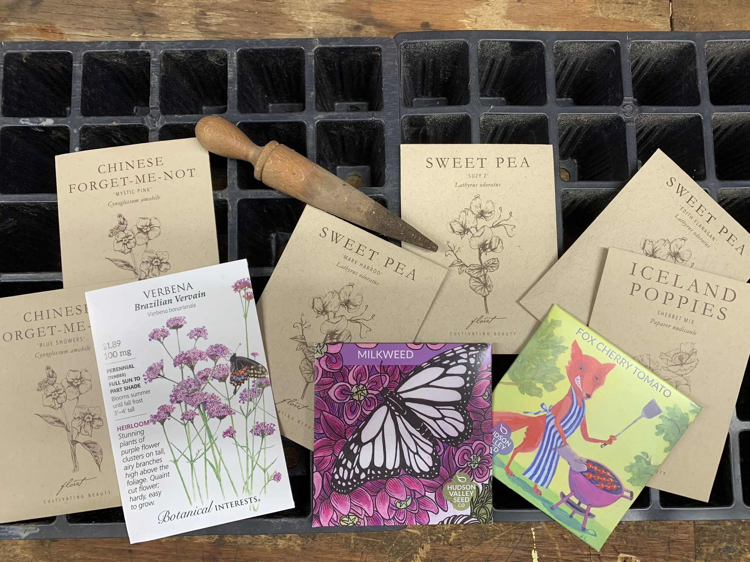 Sundays are for Seeds