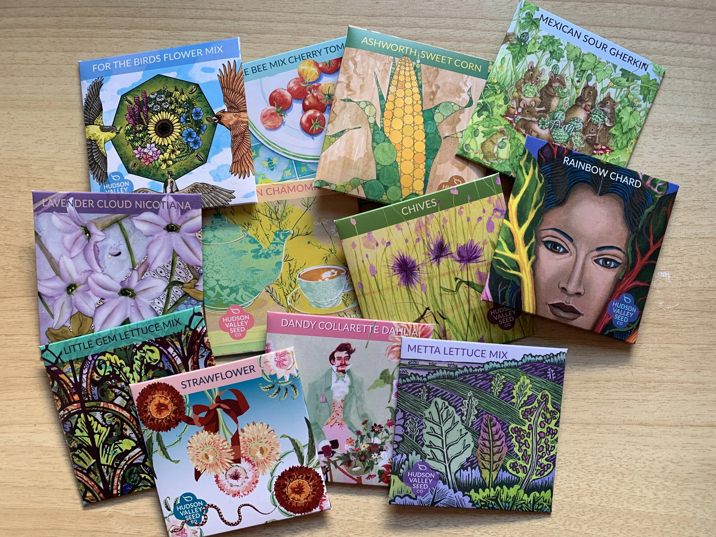 The Garden in January