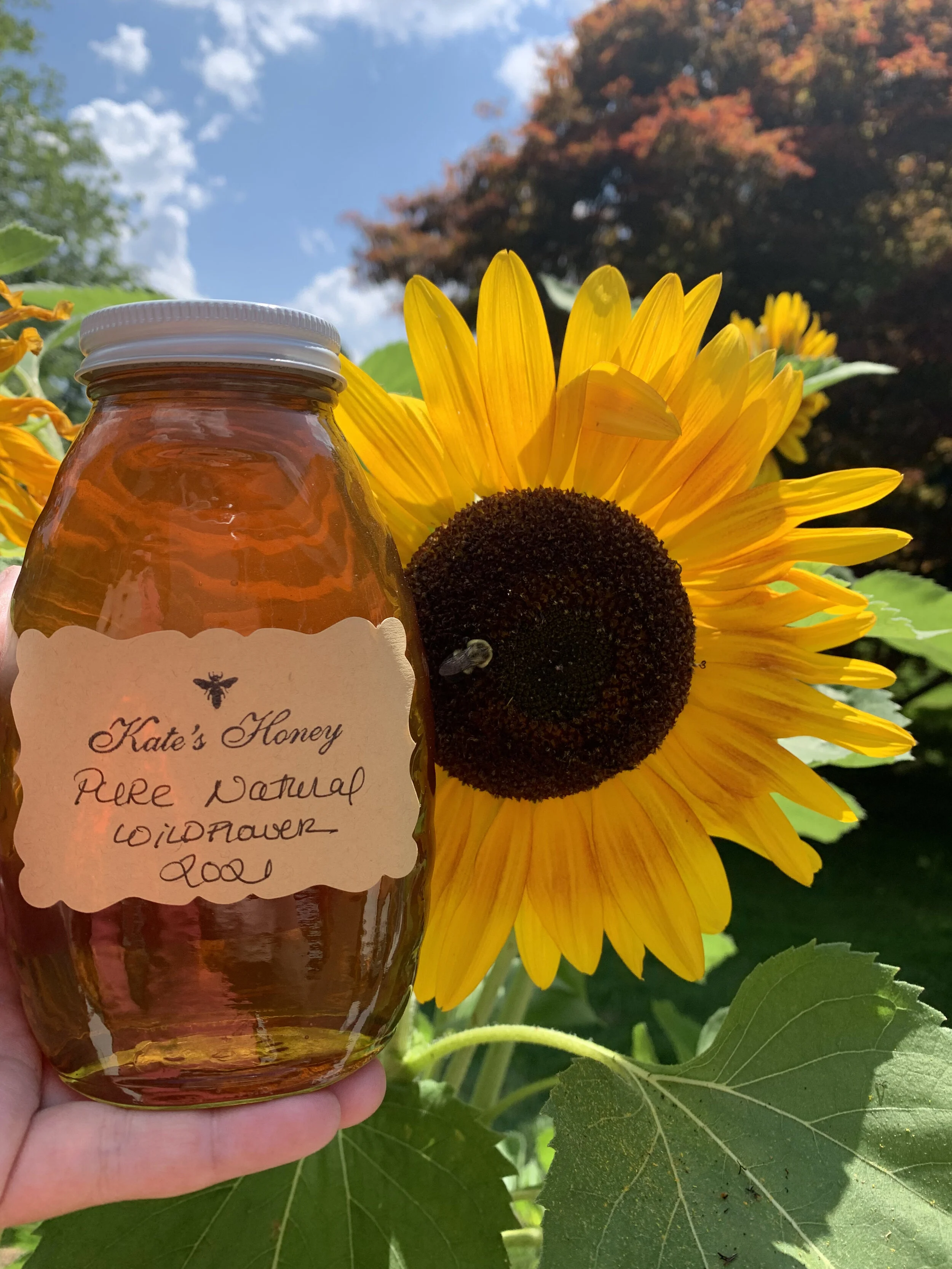 Kates Honey | Local Honey from Redding Connecticut