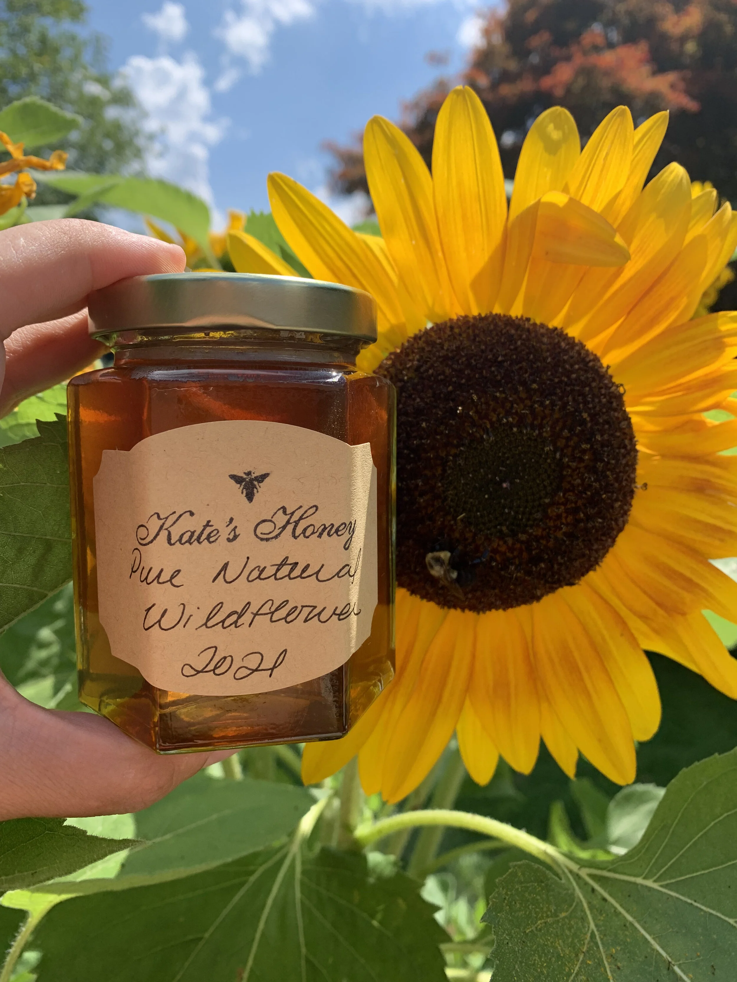 Kates Honey | Pure Raw Honey from Redding Connecticut