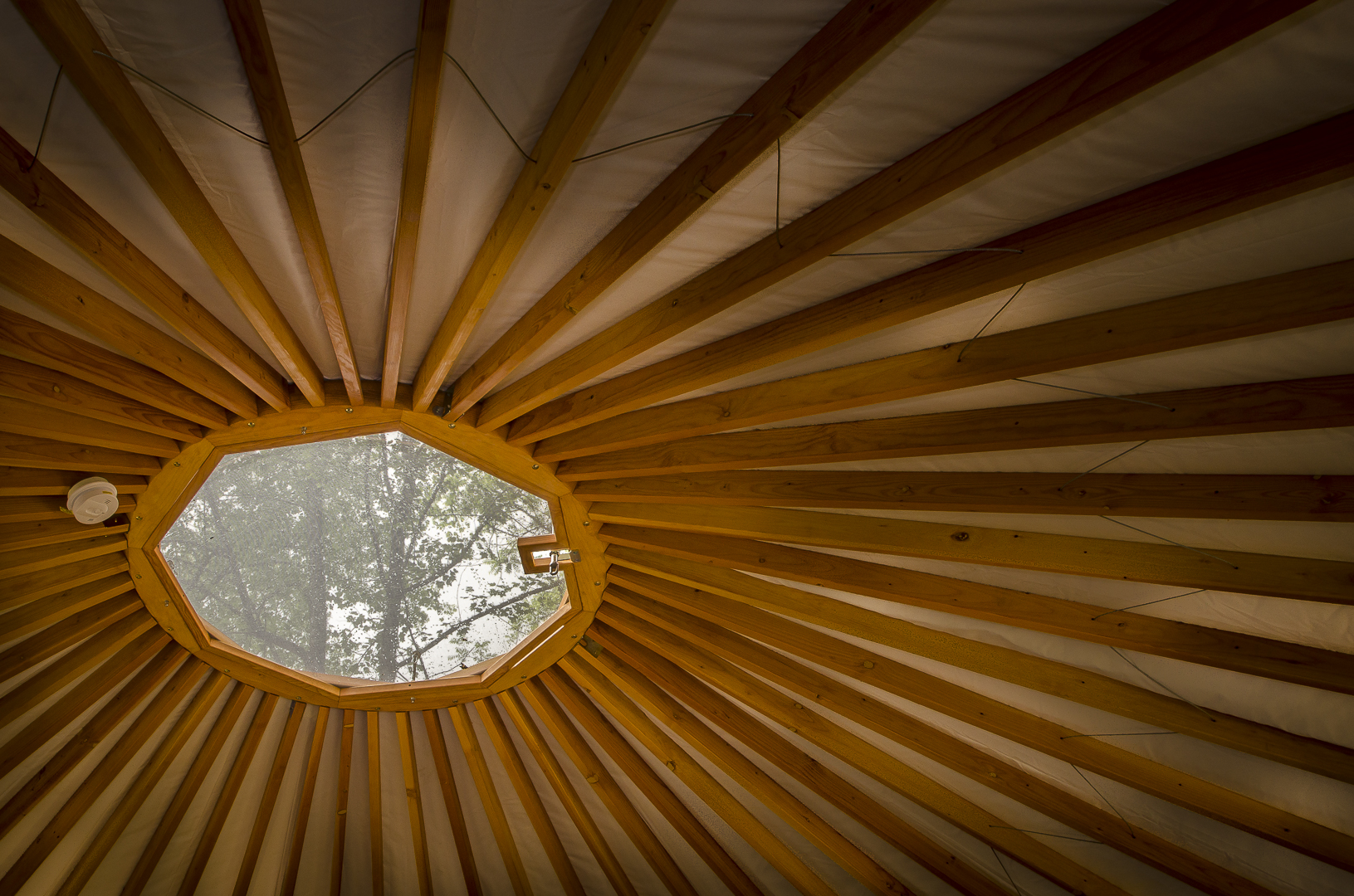 Yurt_SkyLight.jpg