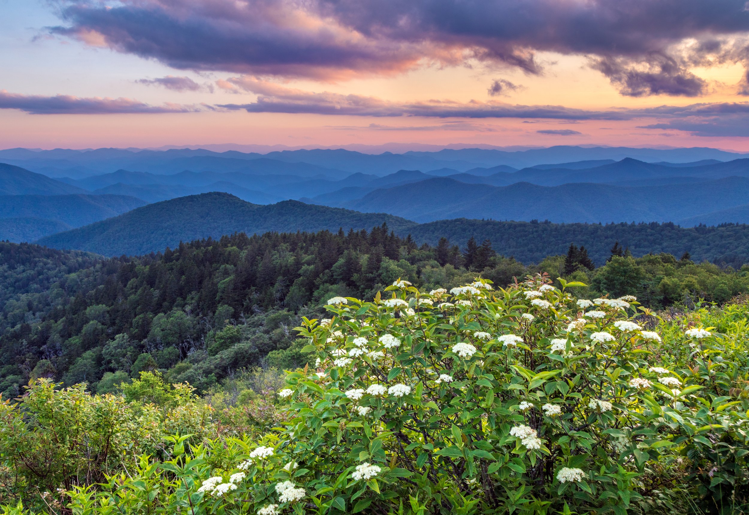 Unlock Nantahala Adventure in One Destination!