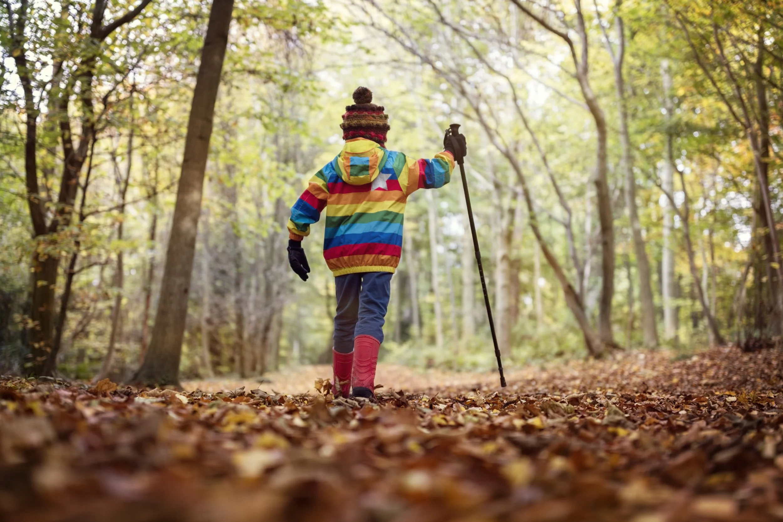 Hiking with fall setting.jpg