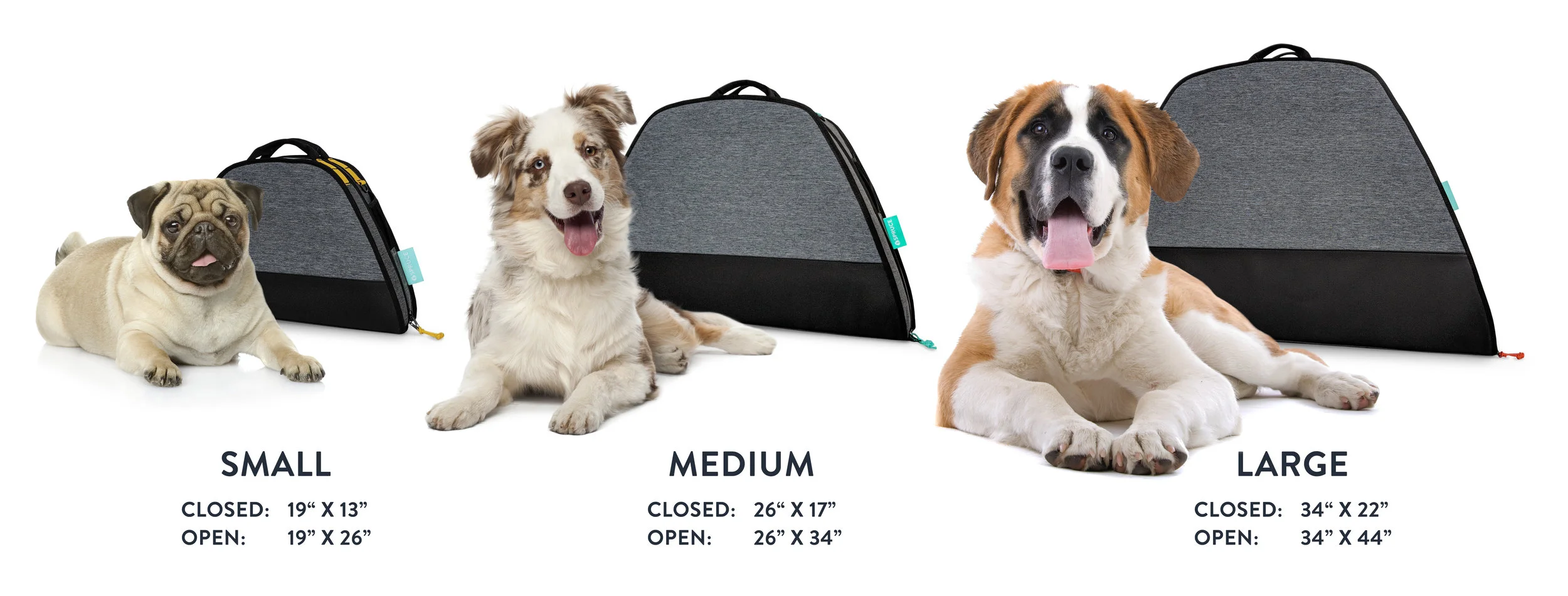 Sizes-withDogs_0402.jpg
