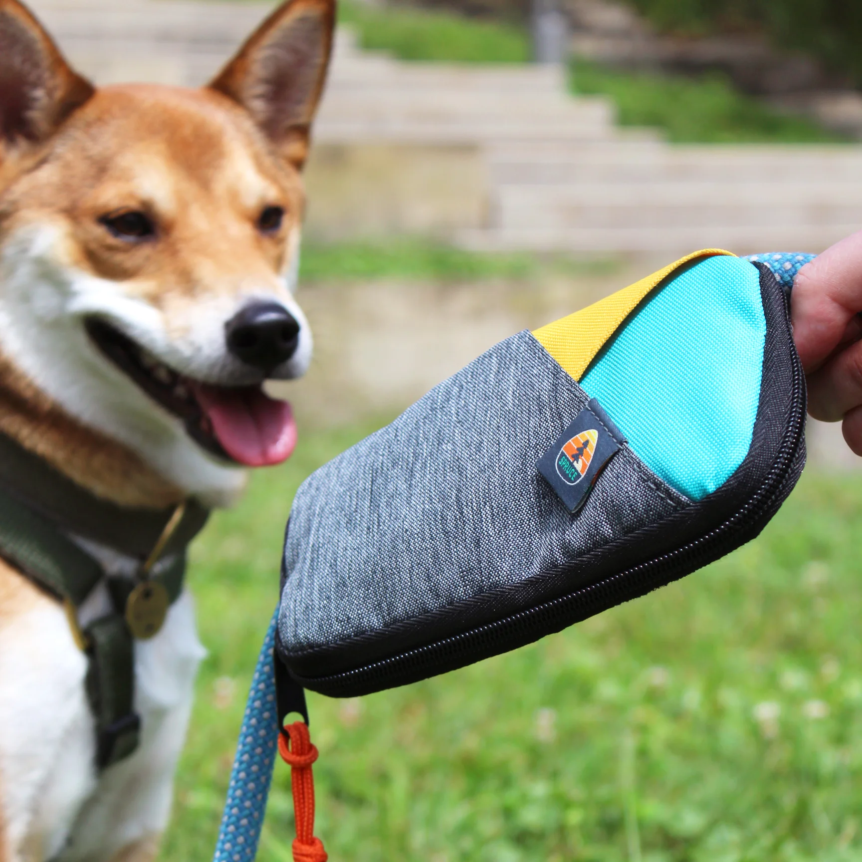 LeashBag_withdog.jpg