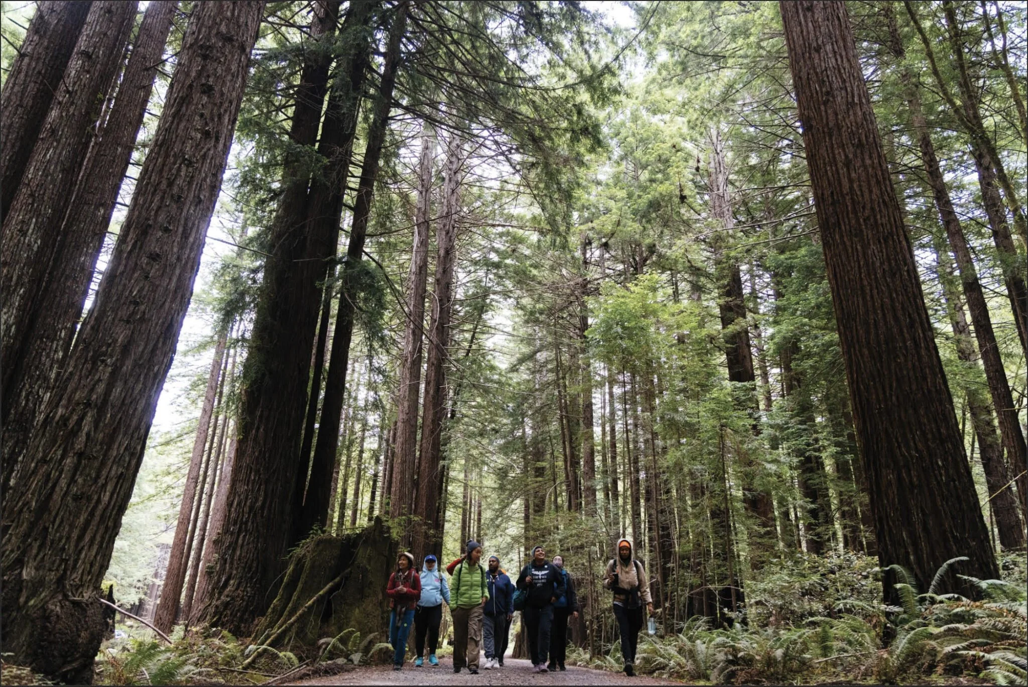 CAAMFest 2024 | EARTH SEED: A People's Journey of Radical Hospitality