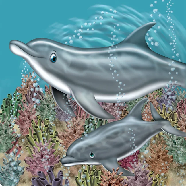 DOLPHIN.jpg