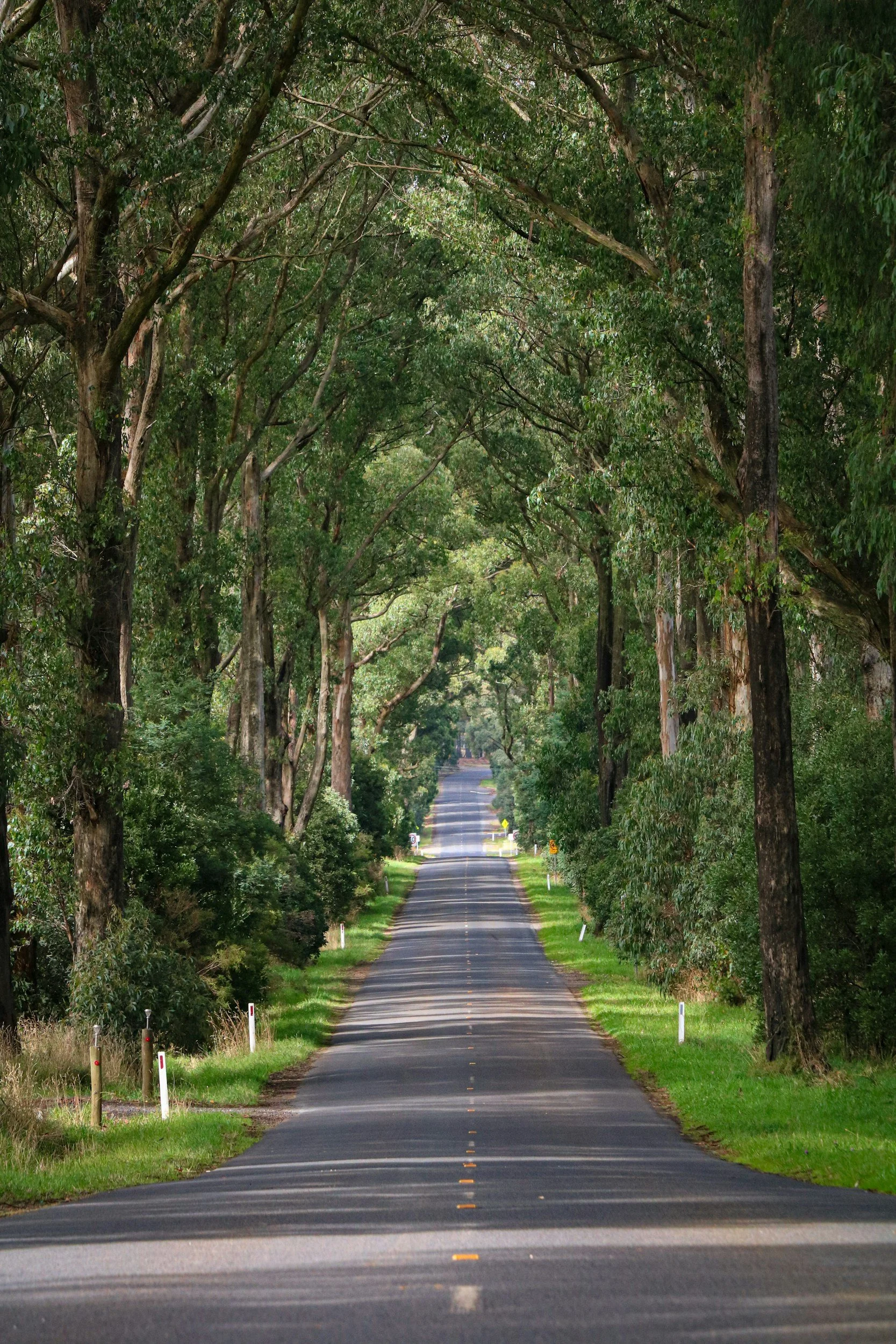 unsplash-image-qv2Zlqhc6o8.jpg