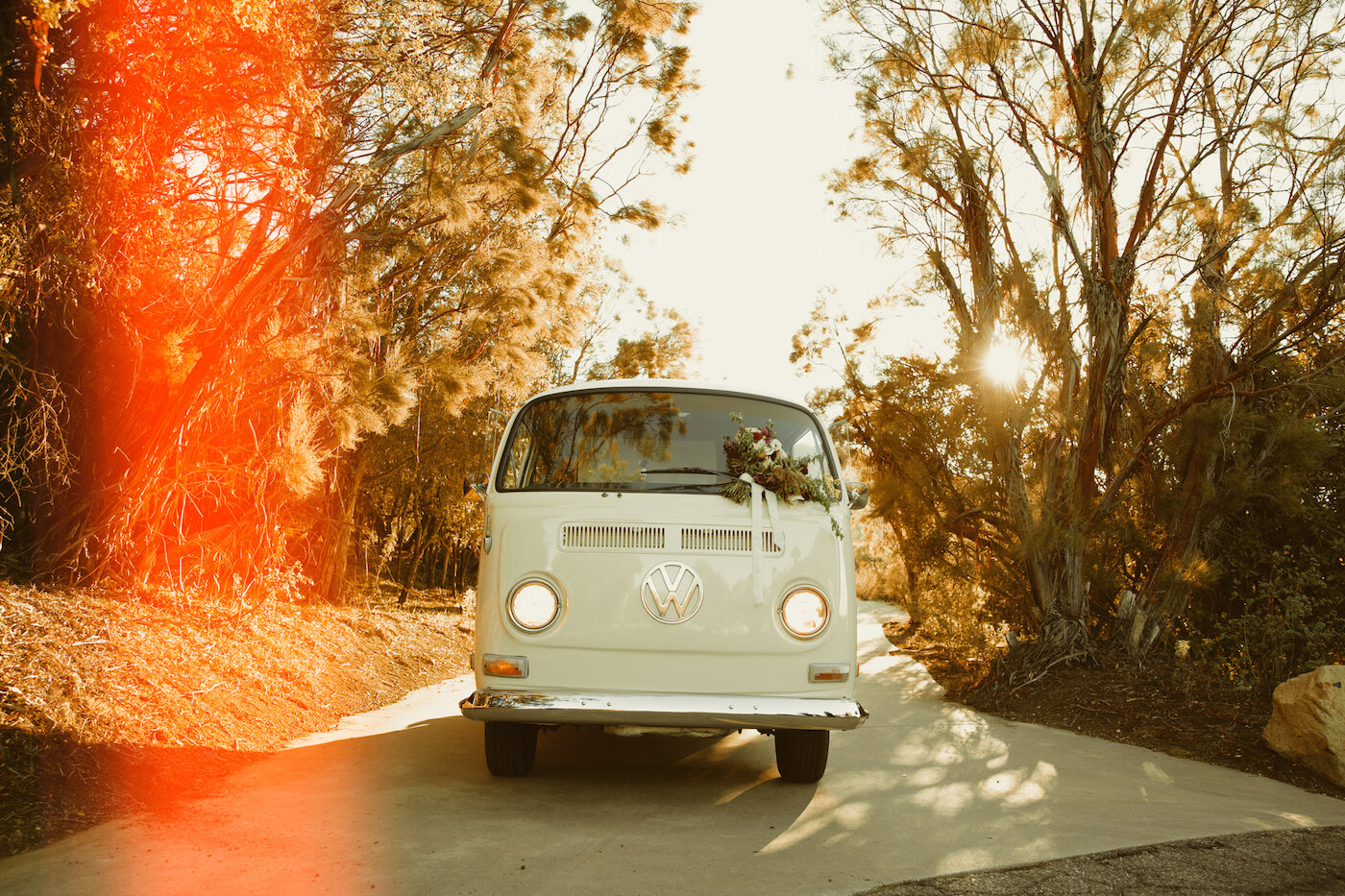 vw busmelissareyphoto-.jpg