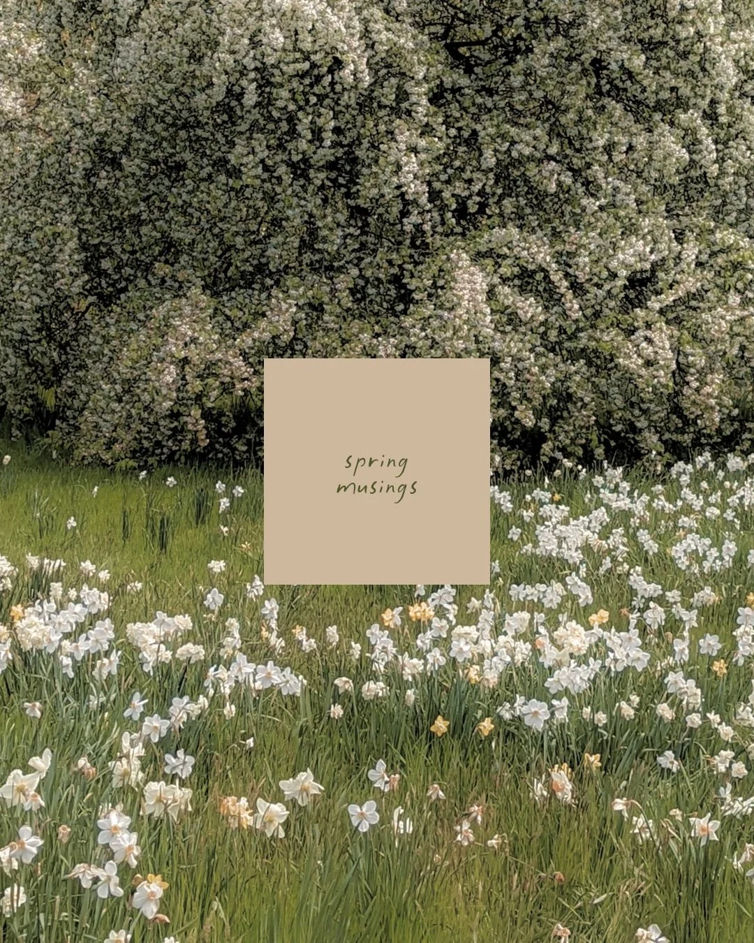 doing a lot of deeeeep work lately. this is a brief (yes it is) summary. if you make it through all of these, bravo. if you have a reaction to any, i&rsquo;d love to know. to creatives: i hope you are compelled to take time and call it useful for the