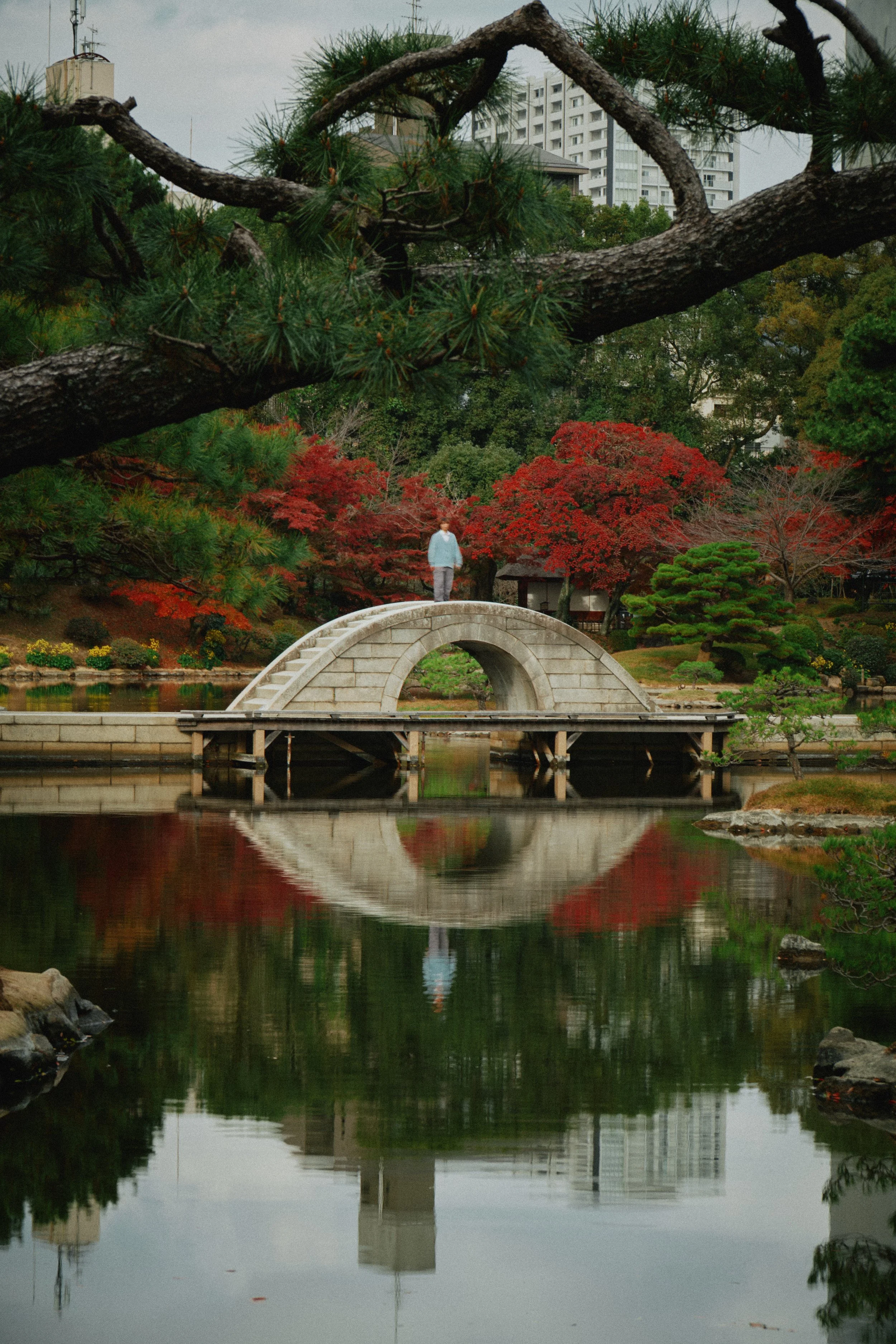 Japan 2025 Abi 0121.jpg