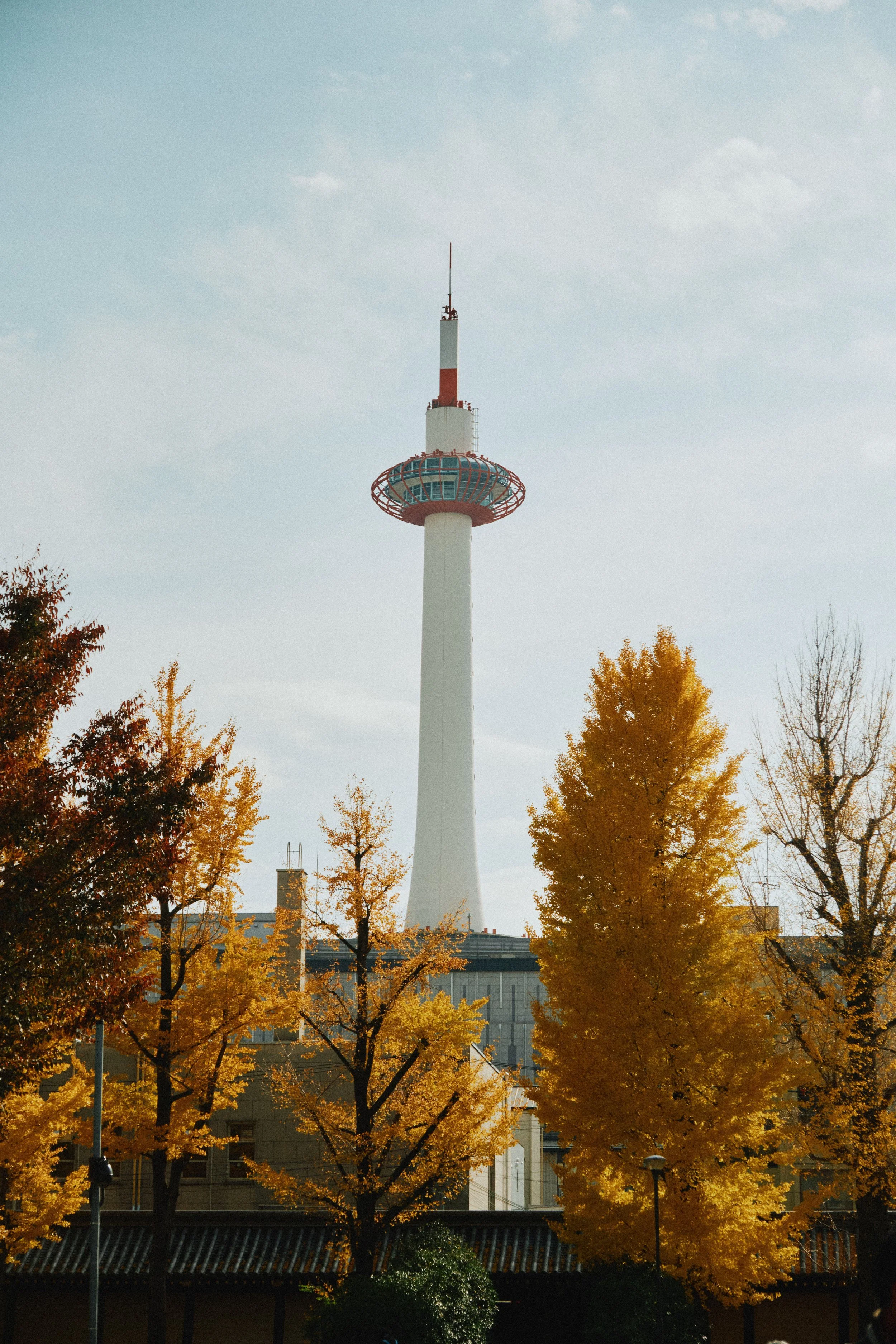 Japan 2025 Abi 0097.jpg