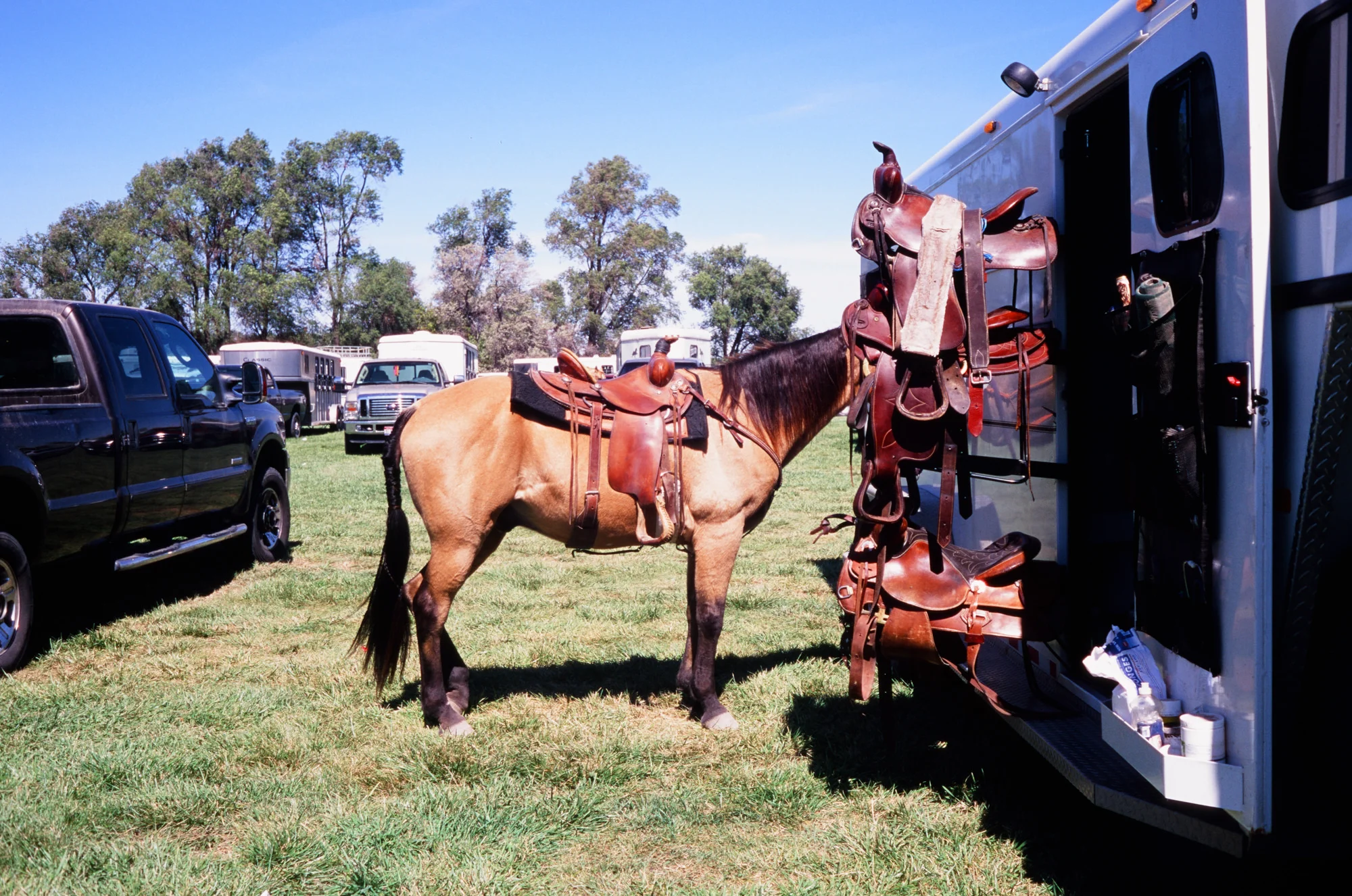 Blackfoot, Idaho 10.jpg