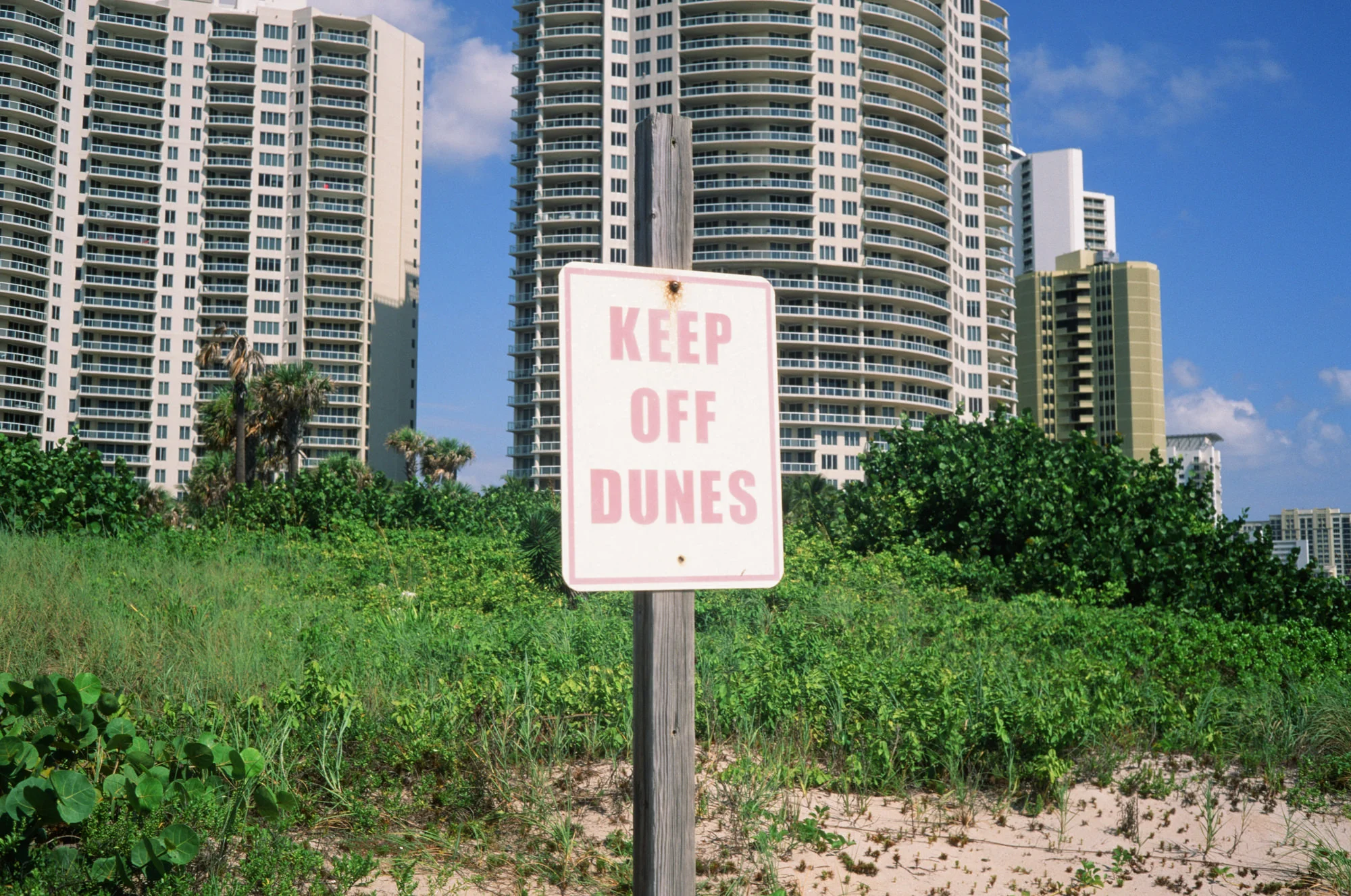 Living in Heat 02.jpg