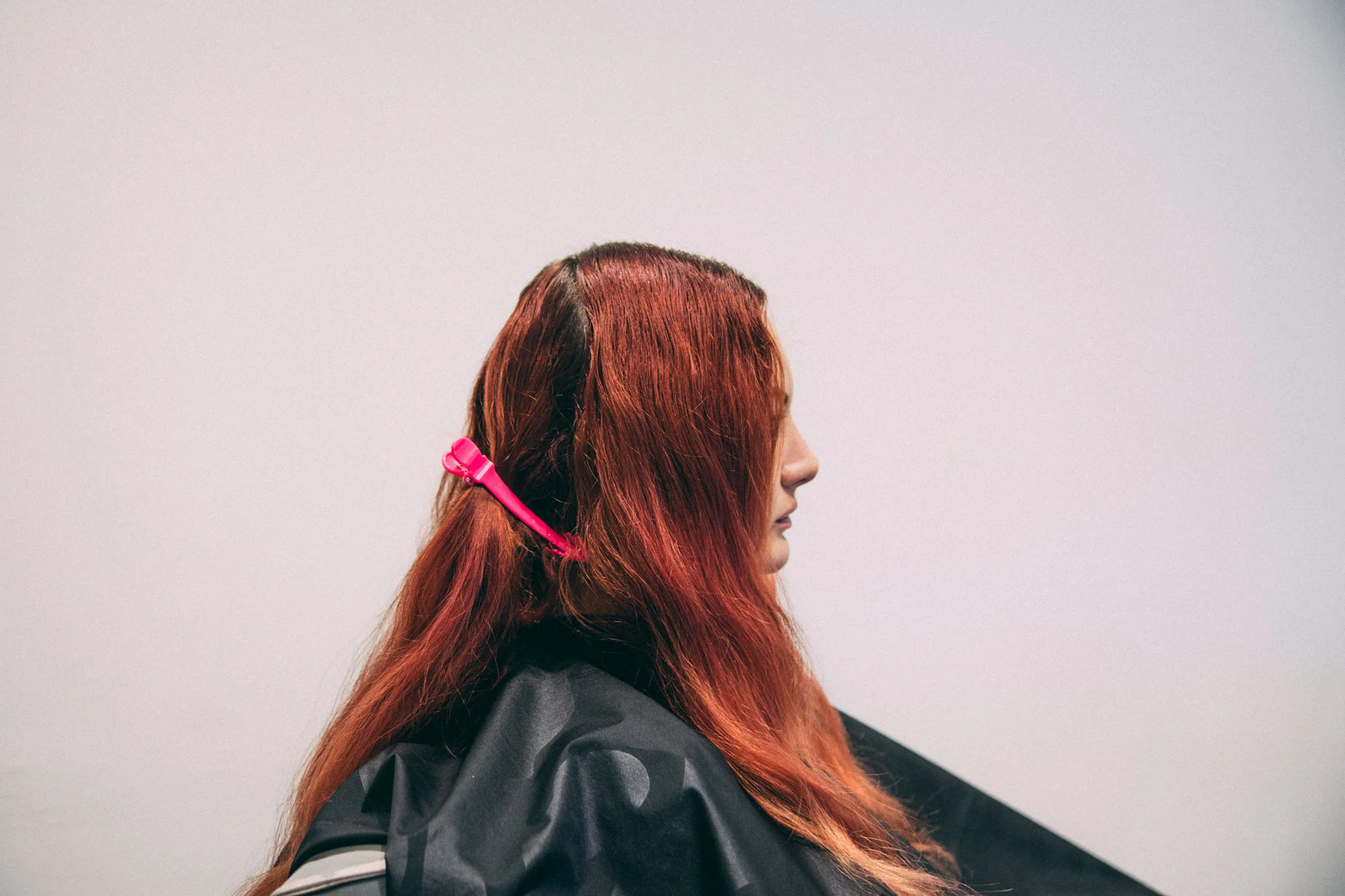 Fox & The Bee - Color Trio lo29.jpg